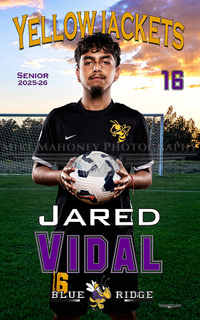 16-Vidal
