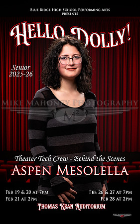 Banner - Mesolella