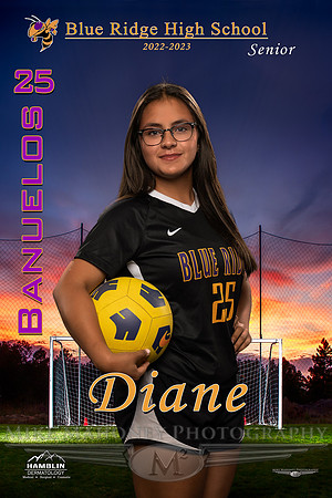 BR Soccer banner template