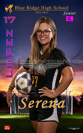 soccer 17